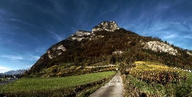 Gonzen in Autumn, mels, scenery, alps, autumn, rural, gonzen, growing, sargans, fall, switzerland, outdoors, alpine, heiligkreuz, europe, colours, swiss, bright, sunshine, produce, mountains, vineyards, agriculture, vines, yellow, green