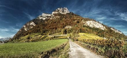 Gonzen in Autumn, mels, scenery, alps, autumn, rural, gonzen, growing, sargans, fall, switzerland, outdoors, alpine, heiligkreuz, europe, colours, swiss, bright, sunshine, produce, mountains, vineyards, agriculture, vines, yellow, green