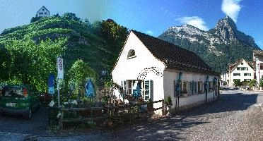 View of the vineyard in Mels, Swiss Alps, gonzen, green, sunny, sunlight, blue sky, slope, autumn, vineyard, outdoors, vines, mountains, house, alps, street, europe, village, swiss, buildings, switzerland, town