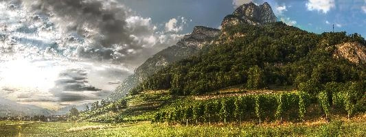 The Gonzen seen from Heiligkreuz, Switzerland, mels, sargans, sunset, alpine, mountains, viticulture, heiligkreuz, switzerland, sun, europe, scenery, light, crag, rural, landscape, sky, alps, vineyard, evening, peak, gonzen