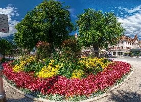 Gardens in Merano, null