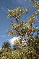 dse_018352_6066523_2022_10_03_12_30_47_48_02_00.jpg