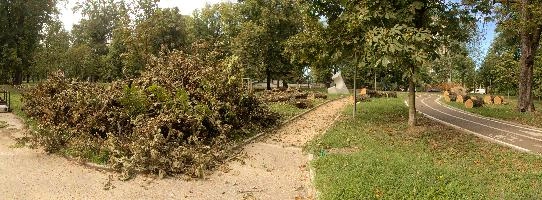 Fallen Trees in Milano, weather, extreme, fallen, tree, foliage, damage, heating, storm, wind, italy, warming, milan, global, europe, climate change