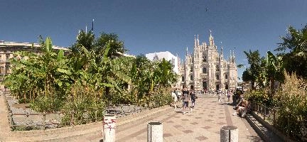 Milan cathedral from the square seen in bright sunglight, italy, catholicism, sunshine, church, white, cathedral, milan, historic, europe, palms, duomo, monumental, religion, summer, stone, architecture