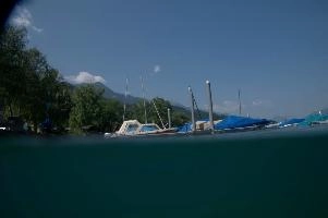 dsc_219931.jpg
