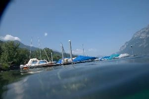 dsc_219933.jpg