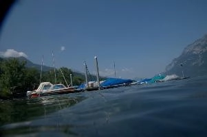 dsc_219934.jpg