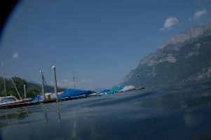 dsc_219937.jpg