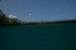 dsc_219943.jpg