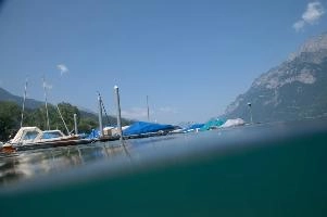 dsc_219945.jpg