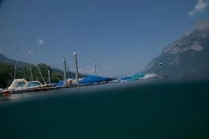 dsc_219946.jpg