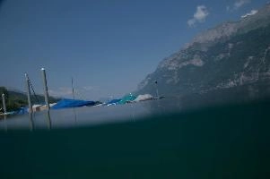 dsc_219949.jpg