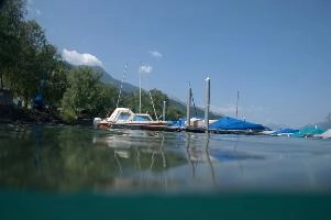dsc_219957.jpg