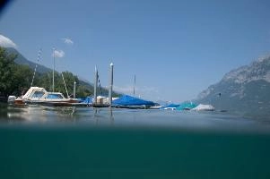 dsc_219960.jpg