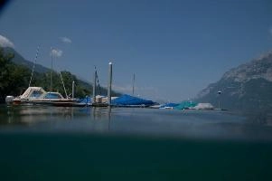 dsc_219961.jpg