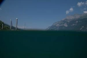 dsc_219964.jpg