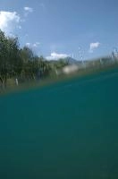 dsc_219981.jpg