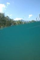dsc_219983.jpg