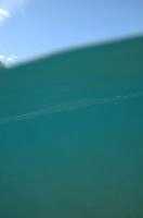 dsc_219986.jpg