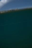 dsc_219988.jpg