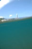 dsc_219989.jpg