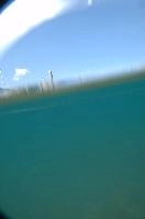 dsc_219992.jpg