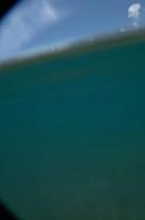 dsc_219996.jpg