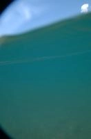 dsc_219998.jpg