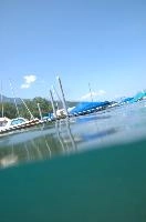 dsc_220010.jpg