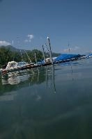 dsc_220024.jpg
