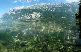 Over and Under in Mols, walen, mols, switzerland, churfirsten, tuquoise, rocks, lake, underwater, walensee, mountains, bed, aquatic, under-and-over, surface, walenstadt, alps, teal, green