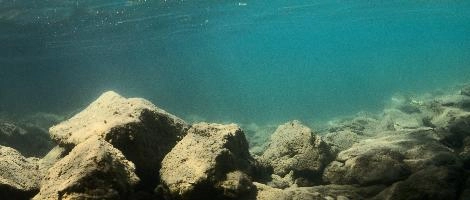 Underwater shot of Lake Walen, showing teal water and sediment-dusted rock bed, aquatic, underwater, switzerland, rocks, bed, algae, walensee, cloudy, walen, submerged, lake, tuquoise, mols, teal, walenstadt, green