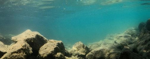 Underwater shot of Lake Walen, showing teal water and sediment-dusted rock bed, aquatic, underwater, switzerland, rocks, bed, algae, walensee, cloudy, walen, submerged, lake, tuquoise, mols, teal, walenstadt, green