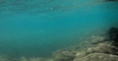 Underwater shot of Lake Walen, showing teal water and sediment-dusted rock bed, aquatic, underwater, switzerland, rocks, bed, algae, walensee, cloudy, walen, submerged, lake, tuquoise, mols, teal, walenstadt, green