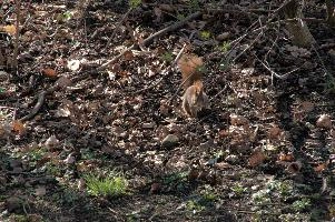 dsc_250165.jpg