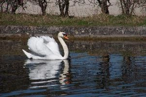 dsc_250548.jpg
