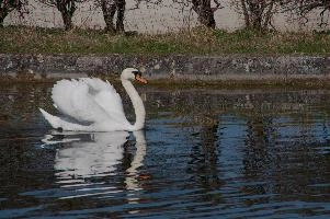 dsc_250549.jpg