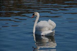 dsc_250551.jpg