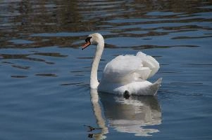 dsc_250553.jpg