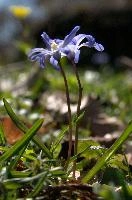 dsc_251044.jpg