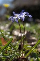 dsc_251046.jpg