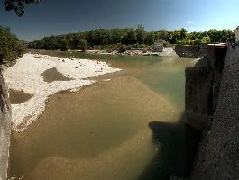 Aare River in München, summer, park, flow, plant, water, river, aare, munich, germany, outdoors, europe, sunshine