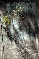 dsd_027640.jpg