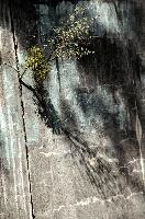 dsd_027644.jpg