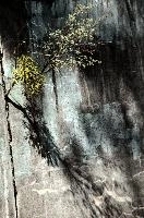 dsd_027649.jpg