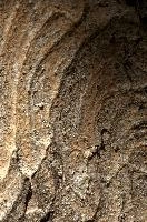 Abstract patterns on maple bark formed by light and shadow on whorled ridges, patternlight, munich, oak, bark, timber, natural, park, maple, wood, plant, dry, trunk, loops, rough, wooden, tree, grooves, old, close-up, sunshine, ridges, forest, surface, closeup, shapes, brown, material, macro, whorl, nature, textured, light, abstract, texture, woods, pattern, shadow, germany, detail