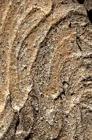 Abstract patterns on maple bark formed by light and shadow on whorled ridges, patternlight, munich, oak, bark, timber, natural, park, maple, wood, plant, dry, trunk, loops, rough, wooden, tree, grooves, old, close-up, sunshine, ridges, forest, surface, closeup, shapes, brown, material, macro, whorl, nature, textured, light, abstract, texture, woods, pattern, shadow, germany, detail
