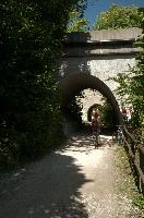 dsd_028221.jpg