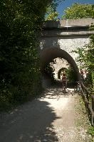 dsd_028222.jpg