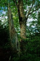 dsc_233869.jpg